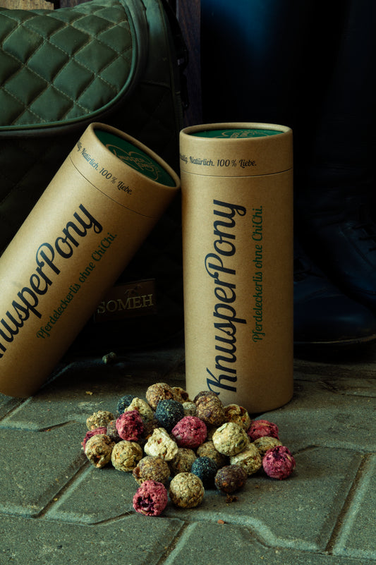 Pferd & Hund Bundle | alles was das Tierherz begehrt