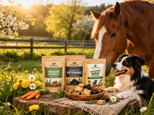 Frühling im Stall mit Pferd, Hund und natürlichen Leckerlis von KnusperPony und KnusperWau
