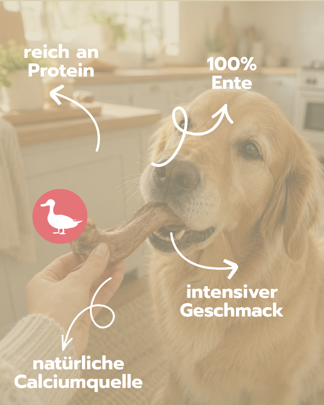 Entenhälse | Naturkauartikel für Hunde