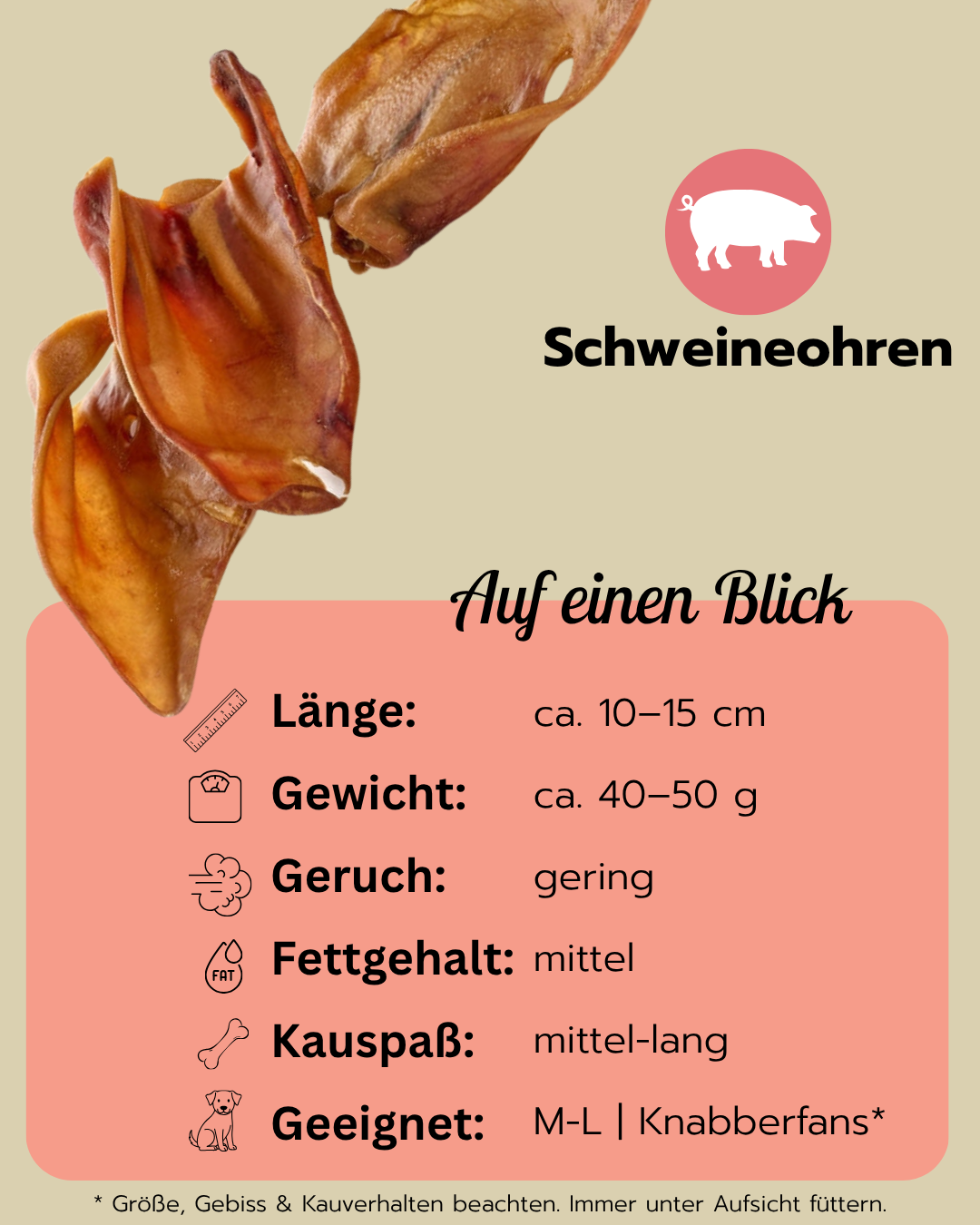 Schweineohren | Naturkauartikel für Hunde