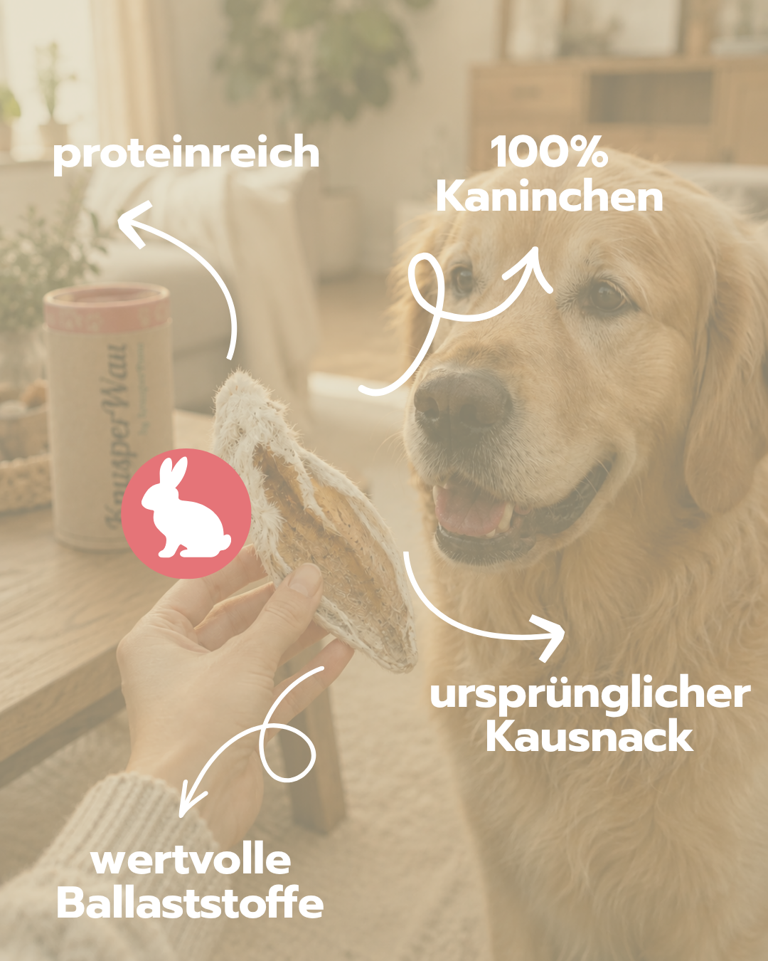 Knabbersnack Hasenohren mit Fell | Sparset