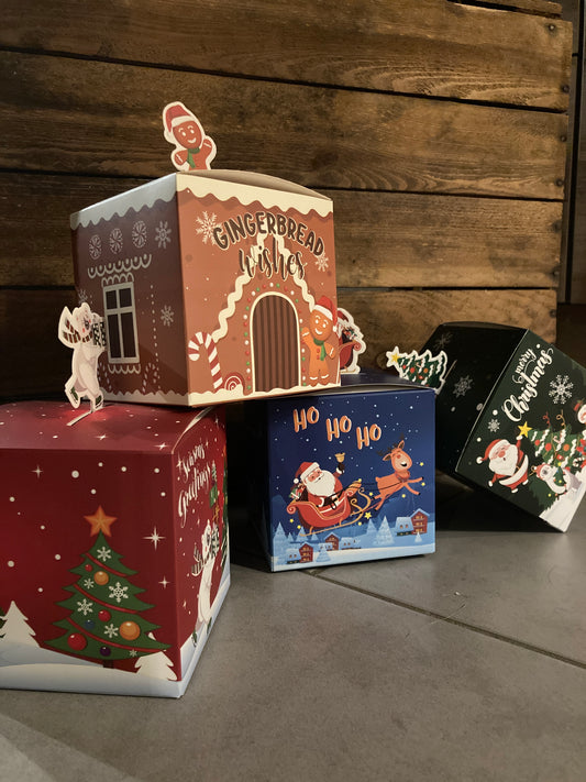 Große Weihnachtsbox