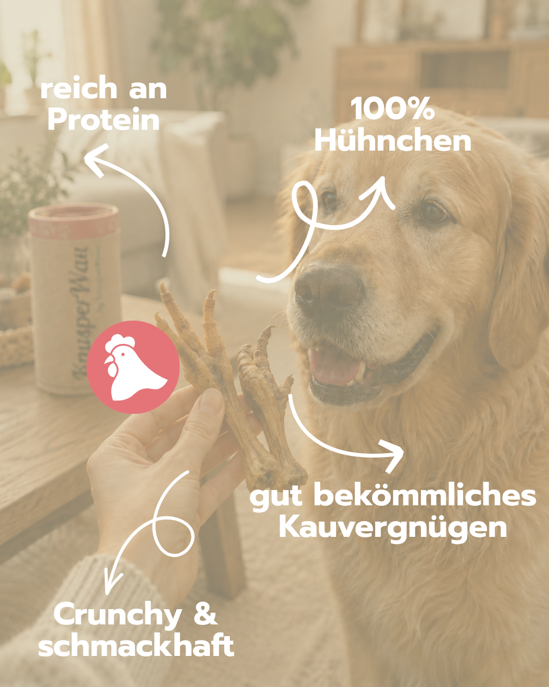 Hühnerfüße | Naturkauartikel für Hunde