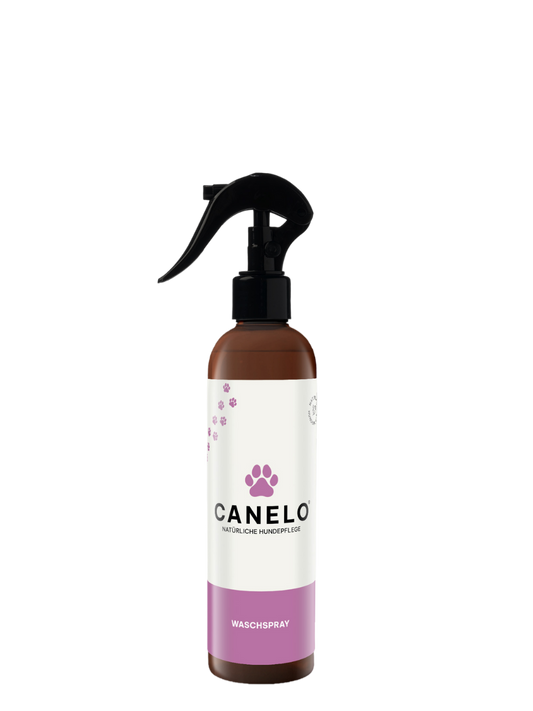 Waschspray für Hunde