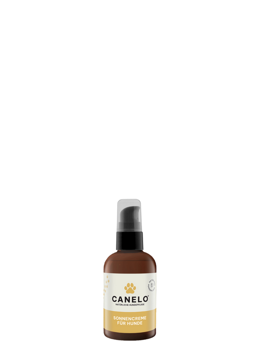 Sonnencreme für Hunde