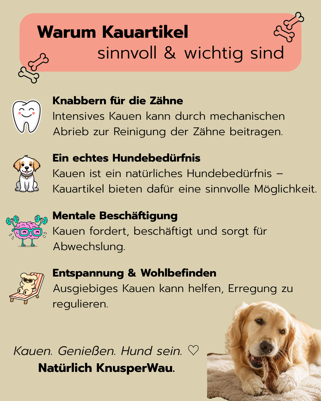 Knabbersnack Hasenohren mit Fell | Sparset