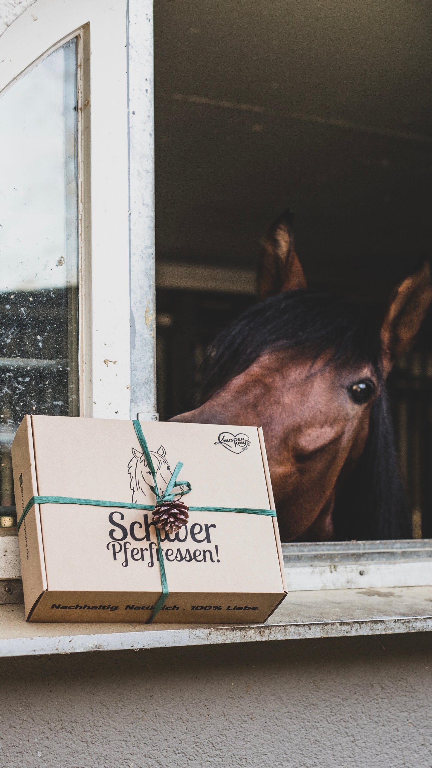 Weihnachtsbox "Schwer Pferfressen"