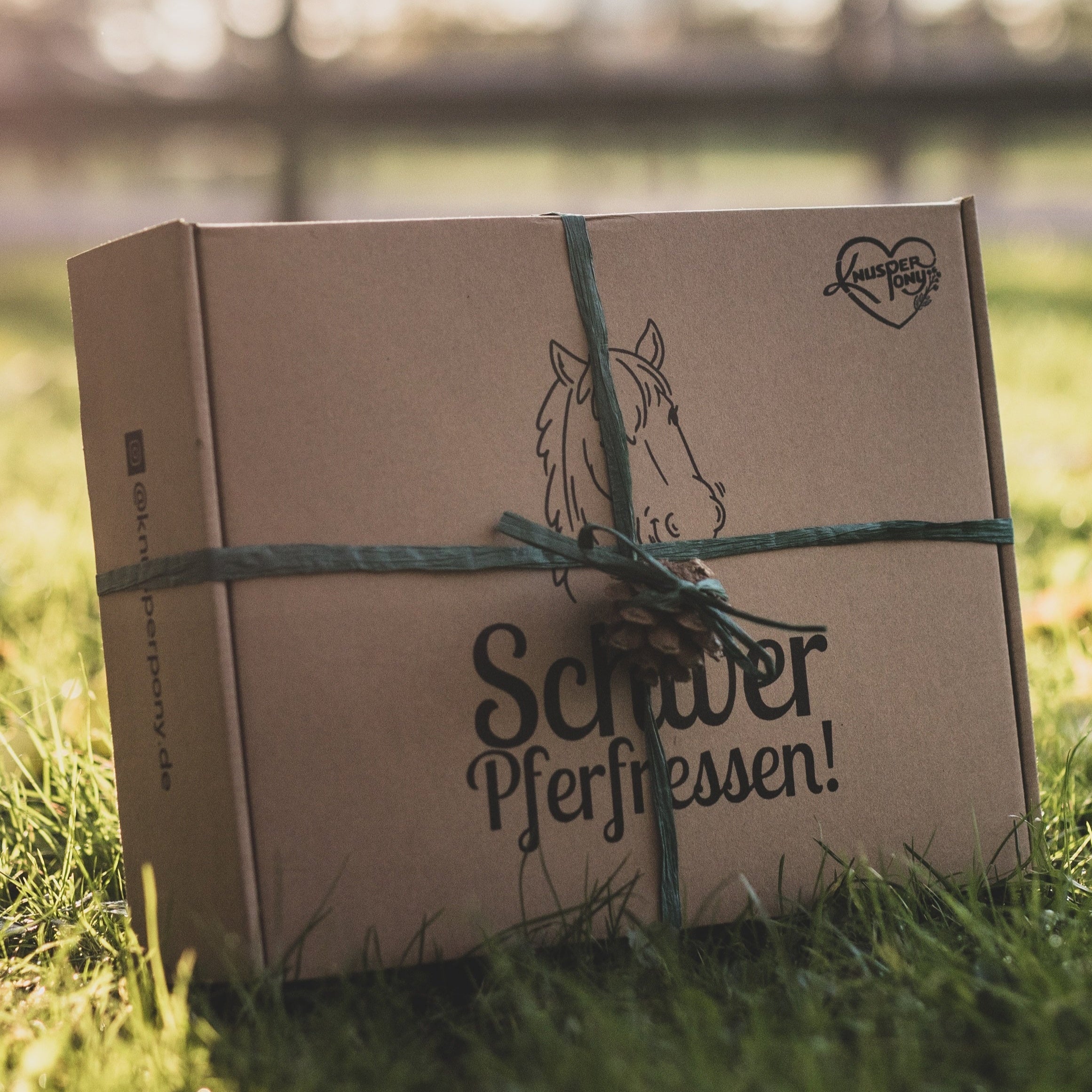 Geschenkbox 